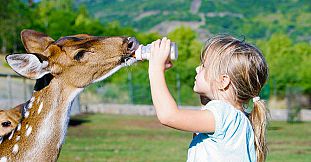Forfait Zookeeper pour Enfant au Casela Nature Parks