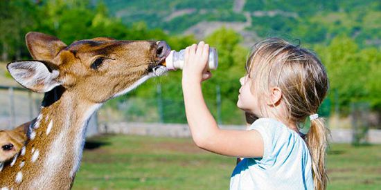 Forfait Zookeeper pour Enfant au Casela Nature Parks